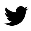 twitter icon